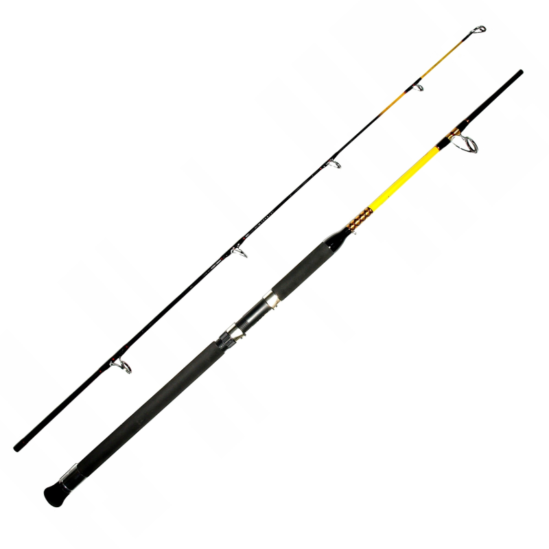 Caña WFT Never Crack Big Fish 3,00m 150-700gr