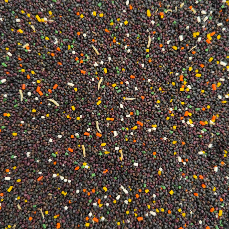 Senzor Planet PVA Bag Mix Pellets Agua Fria Larvas Libelula y Asticot 2-3mm 1kg