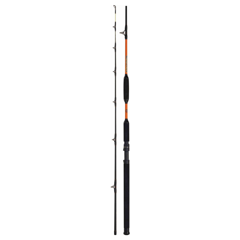Caña WFT Bank Cat II Never Crack 3,15m 200-1000gr