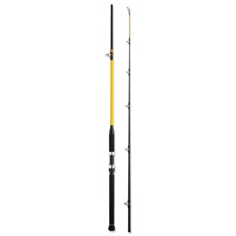 Caña WFT Never Crack Big Fish 2,40m 150-700gr